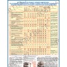 Плакат Дії чергового по станції