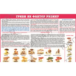 Плакат Гриби як фактор ризику