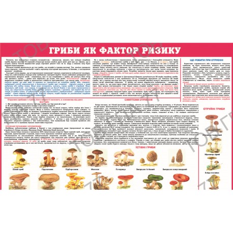 Плакат Гриби як фактор ризику