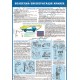 Плакат Безпечна експлуатація кранів