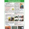 Плакат Вимоги безпеки при роботі з лазерними установками