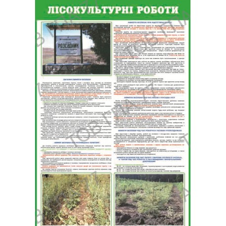 Плакат Лісокультурні роботи