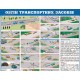 Плакат Обгін транспортних засобів