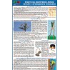 Плакат Роботи на повітряних лініях зв'язку і проводового мовлення