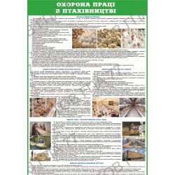 Плакат Охорона праці в птахівництві
