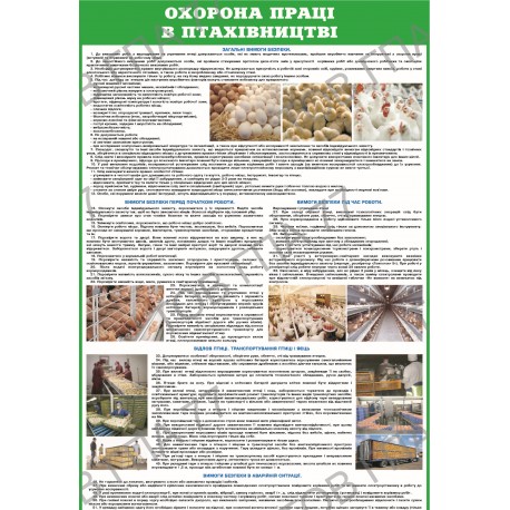 Плакат Охорона праці в птахівництві