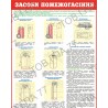 Плакат Засоби пожежогасіння