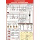 Плакат Формування систем заземлення