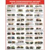 Стенд пластик Типові травмонебезпечні ситуації на автомобільному транспорті