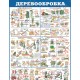 Стенд пластик Деревообробка